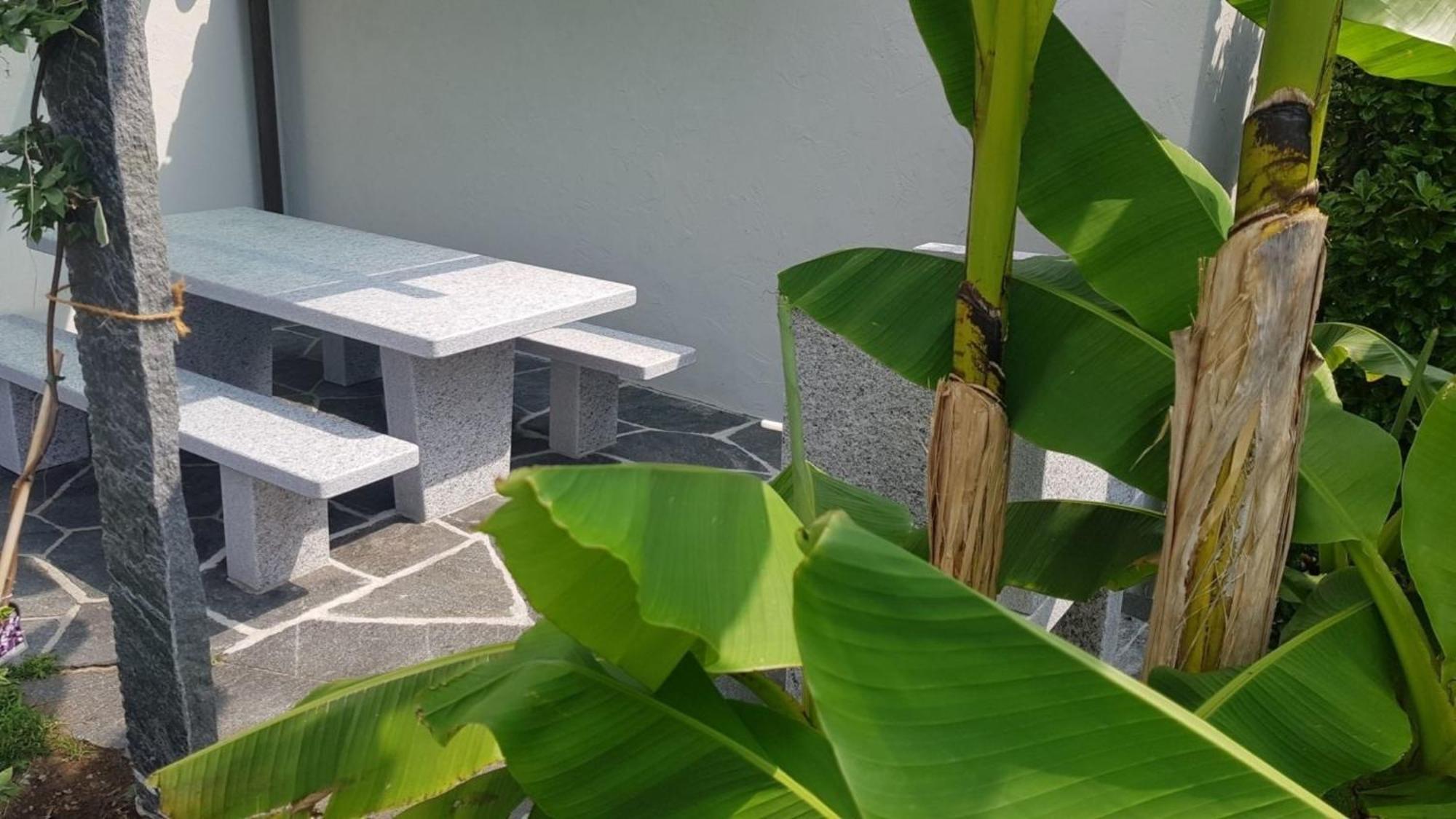 Casa Ramerino Brissago Ngoại thất bức ảnh